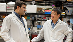 Dr. Mehrotra (left) and Dr. Yu (right)